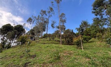 Venta casa campestre independiente en El Retiro con bosque Y quebrada