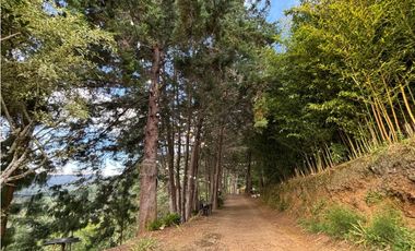Venta casa campestre independiente en El Retiro con bosque Y quebrada