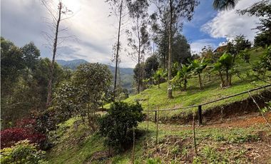 Venta casa campestre independiente en El Retiro con bosque Y quebrada