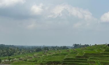 Tanah luasan kecil view sawah cocok untuk hunian