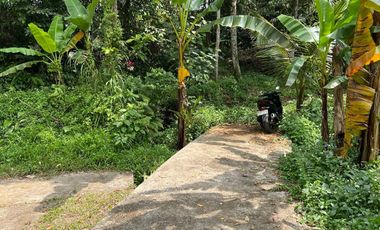 Tanah luasan kecil view sawah cocok untuk hunian