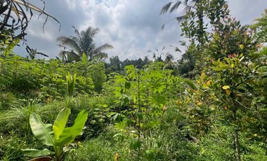 Tanah luasan kecil view sawah cocok untuk hunian