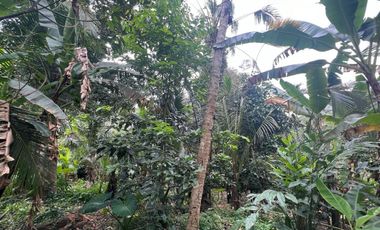 Tanah luasan kecil view sawah cocok untuk hunian