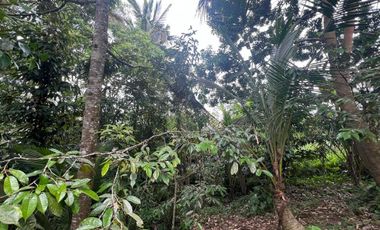 Tanah luasan kecil view sawah cocok untuk hunian