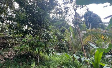 Tanah luasan kecil view sawah cocok untuk hunian