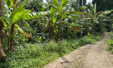 Tanah luasan kecil view sawah cocok untuk hunian