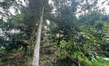 Tanah luasan kecil view sawah cocok untuk hunian