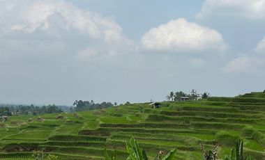 Tanah luasan kecil view sawah cocok untuk hunian