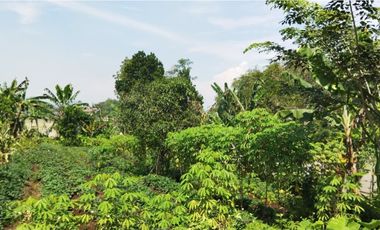 Tanah Luas di Mekarsari Ngamprah Bandung Barat Cocok untuk Vila