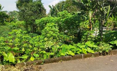 Tanah Luas di Mekarsari Ngamprah Bandung Barat Cocok untuk Vila