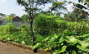 Tanah Luas di Mekarsari Ngamprah Bandung Barat Cocok untuk Vila