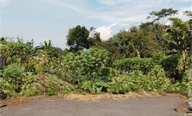 Tanah Luas di Mekarsari Ngamprah Bandung Barat Cocok untuk Vila