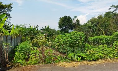 Tanah Luas di Mekarsari Ngamprah Bandung Barat Cocok untuk Vila