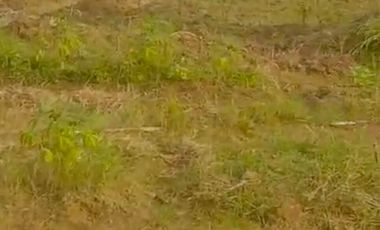 DISEWAKAN TANAH KOSONG STRATEGIS