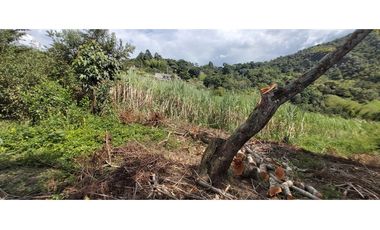 Vendo Finca Productiva en la vega Cund