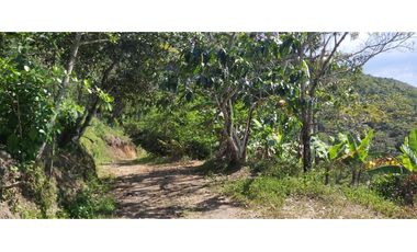 Vendo Finca Productiva en la vega Cund