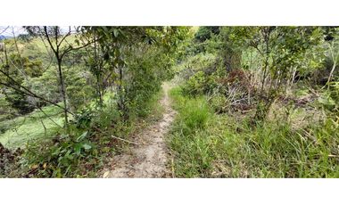 Vendo Finca Productiva en la vega Cund