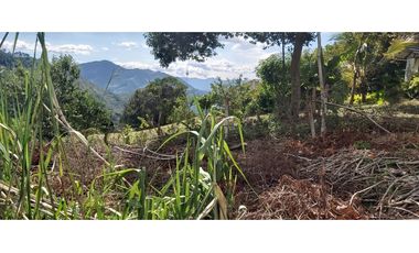 Vendo Finca Productiva en la vega Cund