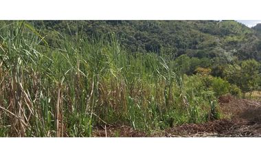 Vendo Finca Productiva en la vega Cund