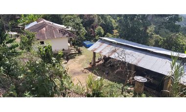 Vendo Finca Productiva en la vega Cund