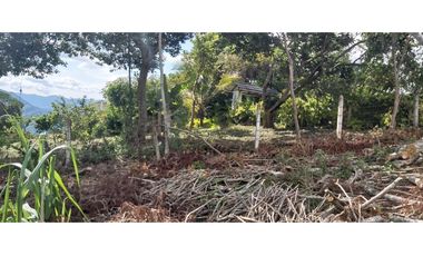 Vendo Finca Productiva en la vega Cund