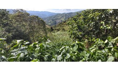 Vendo Finca Productiva en la vega Cund