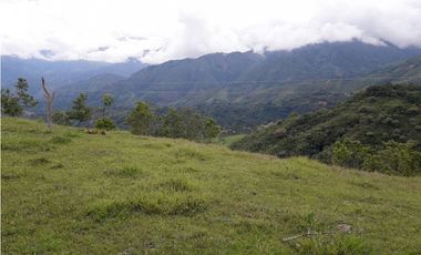 SE VENDE LOTE EN SANJERONIMO (Antioquia) 20 hectáreas + 8.000 mtr2