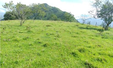 SE VENDE LOTE EN SANJERONIMO (Antioquia) 20 hectáreas + 8.000 mtr2