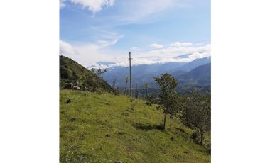 SE VENDE LOTE EN SANJERONIMO (Antioquia) 20 hectáreas + 8.000 mtr2