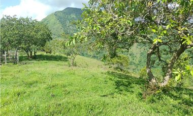 SE VENDE LOTE EN SANJERONIMO (Antioquia) 20 hectáreas + 8.000 mtr2