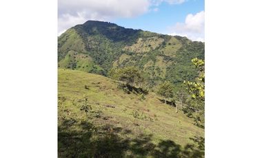 SE VENDE LOTE EN SANJERONIMO (Antioquia) 20 hectáreas + 8.000 mtr2