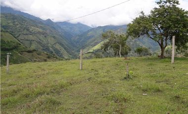 SE VENDE LOTE EN SANJERONIMO (Antioquia) 20 hectáreas + 8.000 mtr2