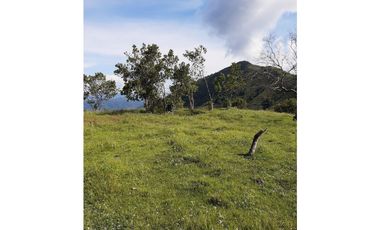 SE VENDE LOTE EN SANJERONIMO (Antioquia) 20 hectáreas + 8.000 mtr2