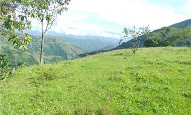 SE VENDE LOTE EN SANJERONIMO (Antioquia) 20 hectáreas + 8.000 mtr2