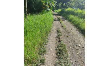 SE VENDE LOTE EN SANJERONIMO (Antioquia) 20 hectáreas + 8.000 mtr2