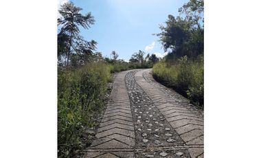 SE VENDE LOTE EN SANJERONIMO (Antioquia) 20 hectáreas + 8.000 mtr2