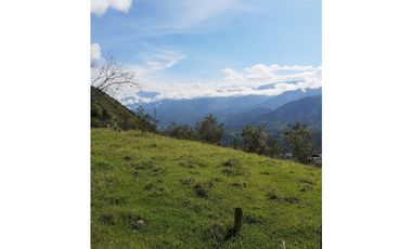 SE VENDE LOTE EN SANJERONIMO (Antioquia) 20 hectáreas + 8.000 mtr2