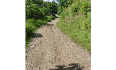 SE VENDE LOTE EN SANJERONIMO (Antioquia) 20 hectáreas + 8.000 mtr2