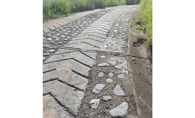 SE VENDE LOTE EN SANJERONIMO (Antioquia) 20 hectáreas + 8.000 mtr2