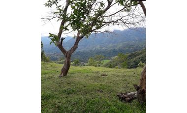 SE VENDE LOTE EN SANJERONIMO (Antioquia) 20 hectáreas + 8.000 mtr2