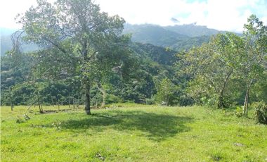 SE VENDE LOTE EN SANJERONIMO (Antioquia) 20 hectáreas + 8.000 mtr2