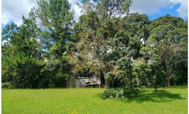 VENDO FINCA EN SANTA  ELENA ANTIOQUIA