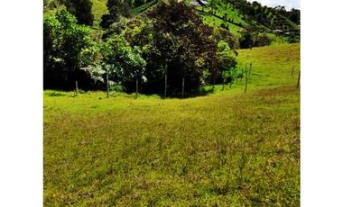 VENTA DE LOTE EN MARINILLA DE 8.000 M2