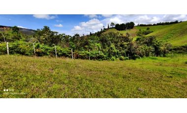 VENTA DE LOTE EN MARINILLA DE 8.000 M2