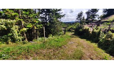 VENTA DE LOTE EN MARINILLA DE 8.000 M2