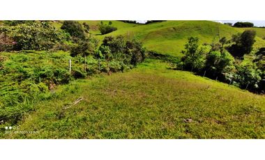 VENTA DE LOTE EN MARINILLA DE 8.000 M2