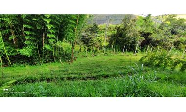 VENTA DE LOTE EN MARINILLA DE 8.000 M2