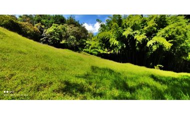 VENTA DE LOTE EN MARINILLA DE 8.000 M2