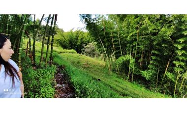 VENTA DE LOTE EN MARINILLA DE 8.000 M2