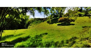 VENTA DE LOTE EN MARINILLA DE 8.000 M2